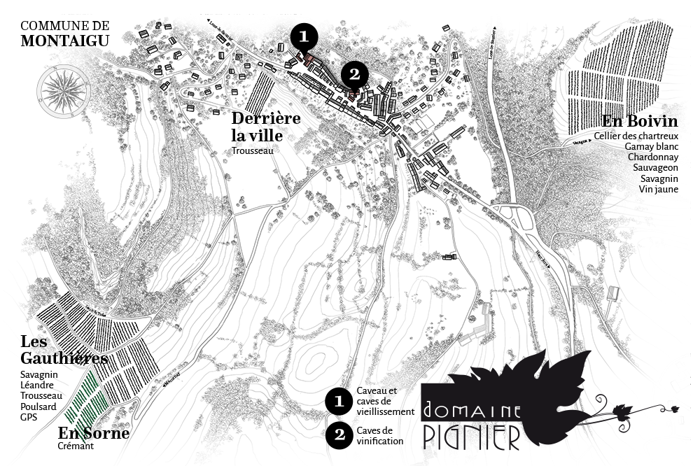 Carte des vignes du Domaine Pignier