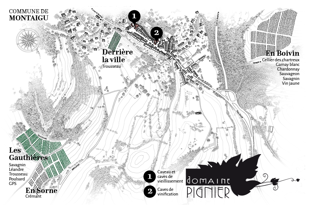 Carte des vignes du Domaine Pignier